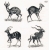 Serwetka -642-